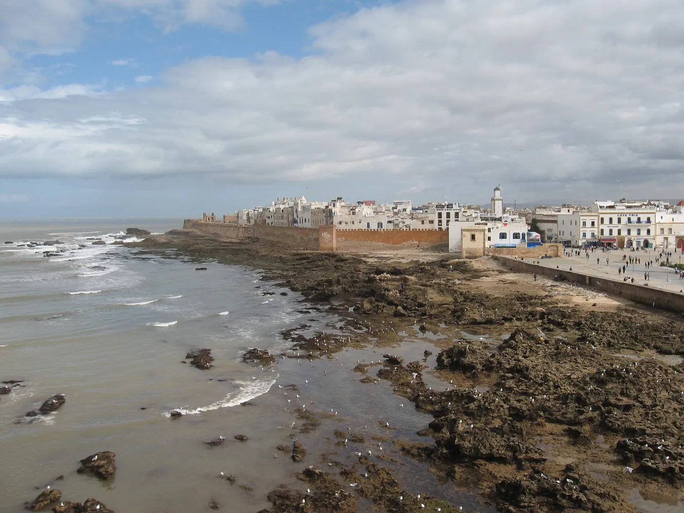 Blue wooden fishing boats moored in Essaouira harbour with the stone Skala du Port bastion and seagulls overhead