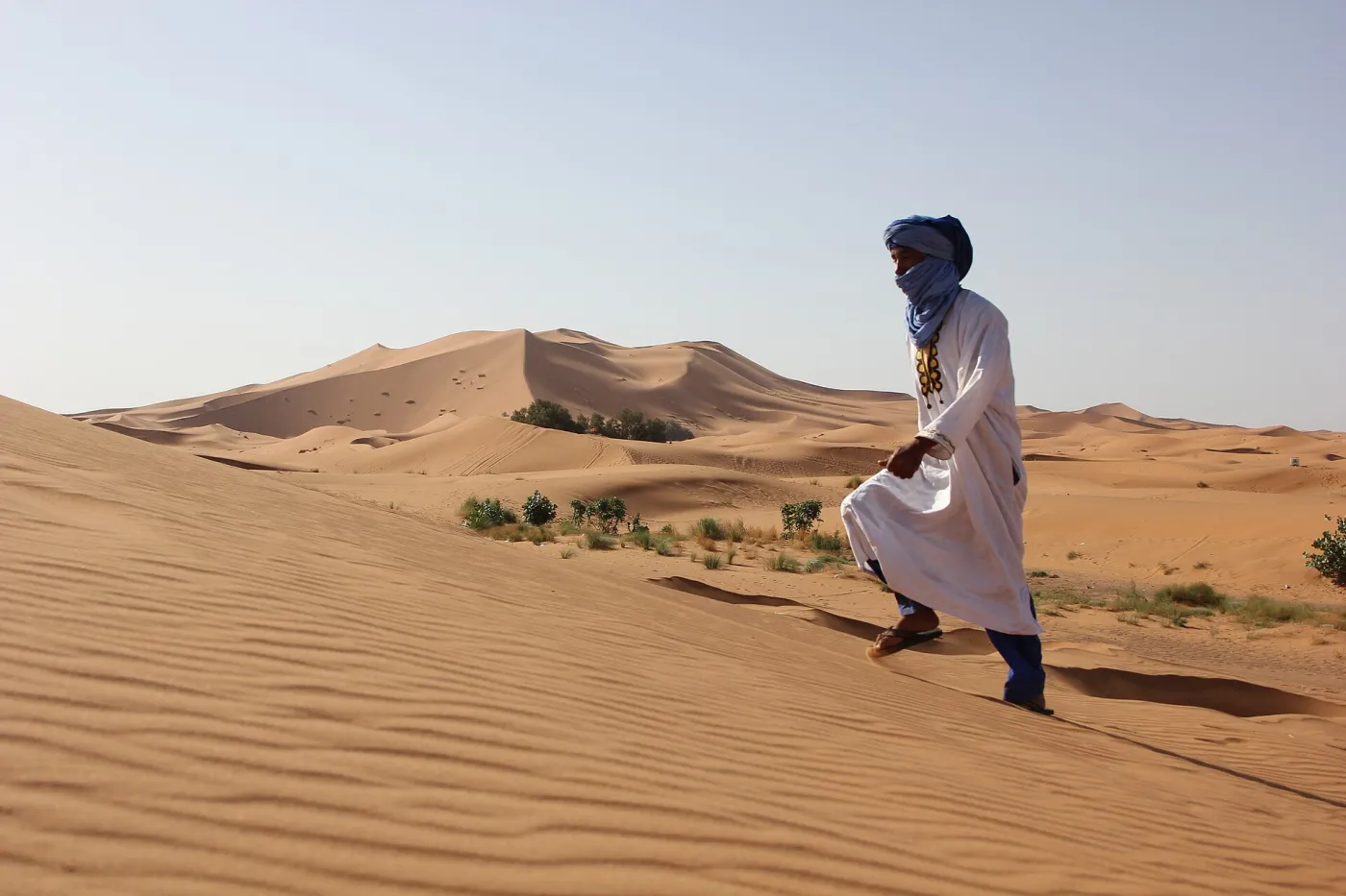 Camel caravan led by a guide crossing orange Erg Chebbi dunes near Merzouga in late afternoon light
