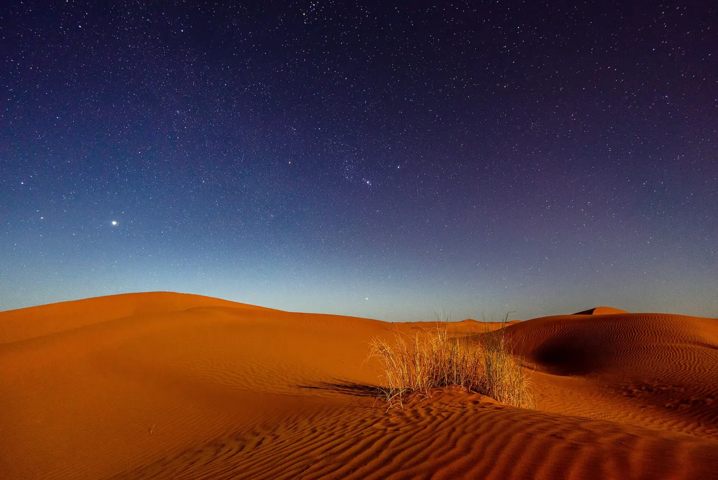 Wide view of rippled golden dunes and a small camel caravan on the horizon near Merzouga under a clear sky