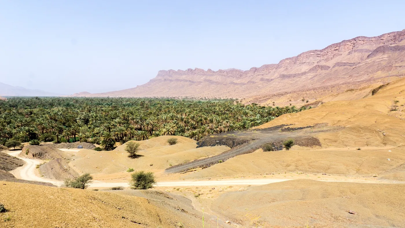 Palm groves of the Draa Valley below a desert mountain range